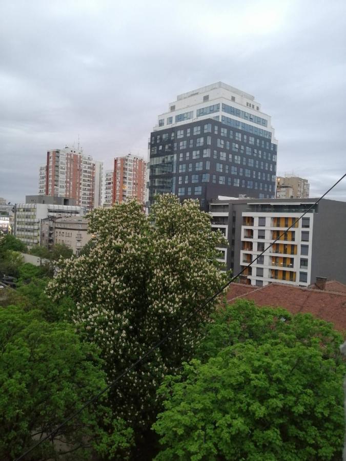 Caviar Apartment Белград Екстериор снимка